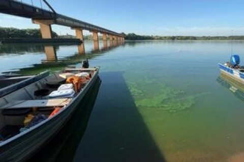 Rio Tietê pede socorro: toxinas estão matando os peixes e ameaçam a saúde